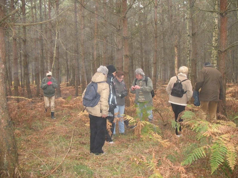 2006 11 Mycobocquet 07